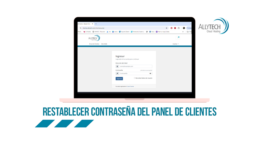 Restablecer contraseña del Panel de Clientes